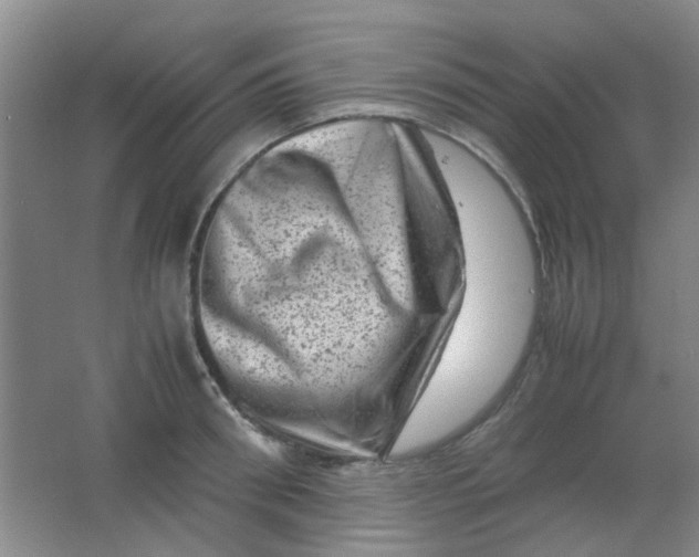 X0000062130898200512231435