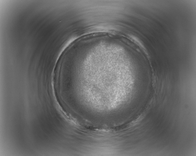 X0000062130899200512231435