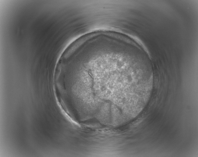 X0000062130903200512231434