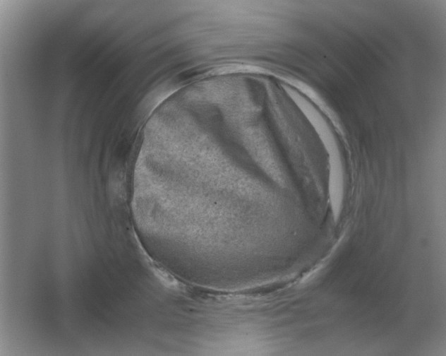 X0000062130905200512231434