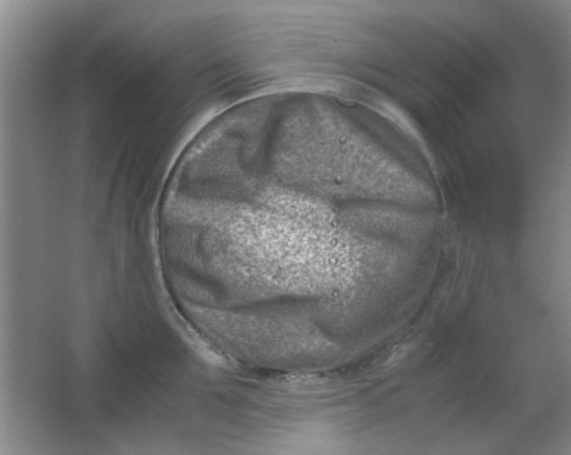 X0000062130907200512231434