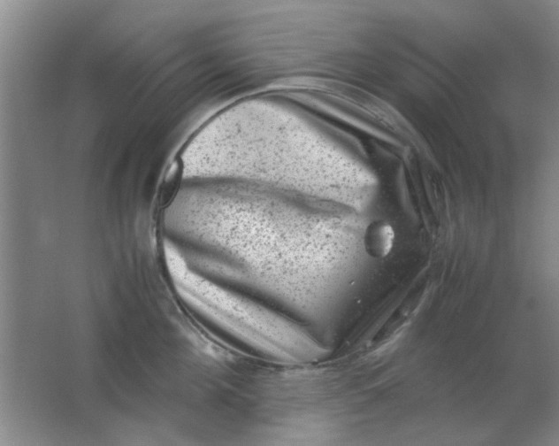 X0000062130908200512231434