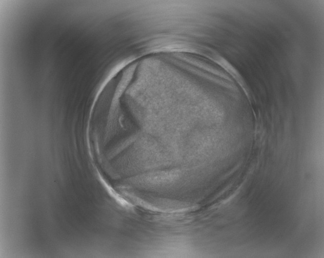 X0000062130909200512231434