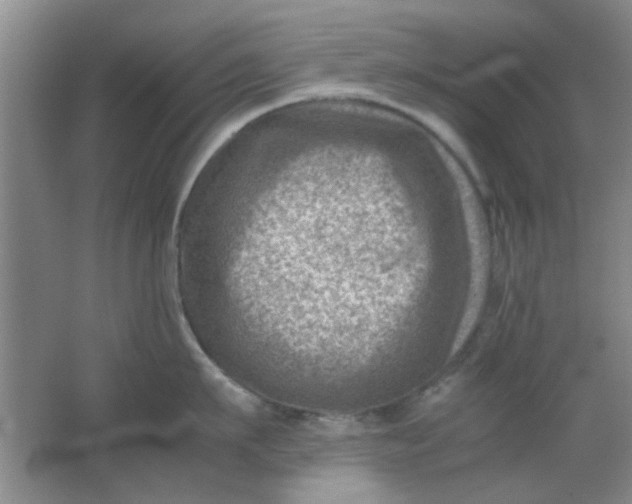 X0000062130911200512231434