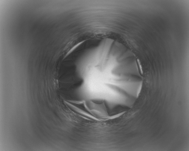 X0000062130916200512231434