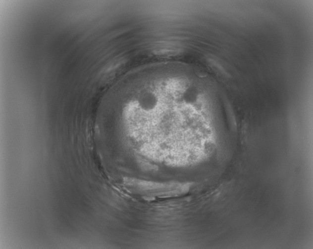 X0000062130917200512231434