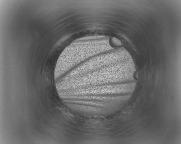 X0000062130919200512231434