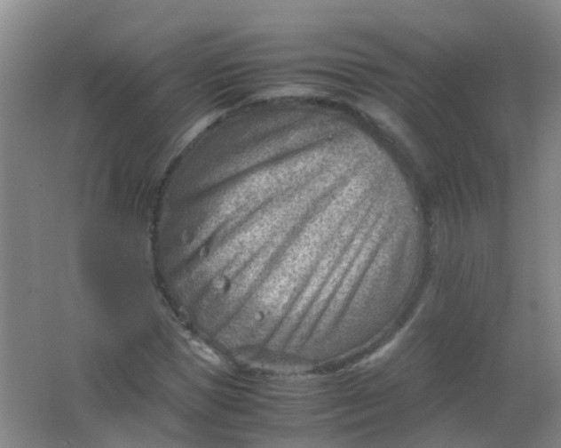 X0000062130921200512231434