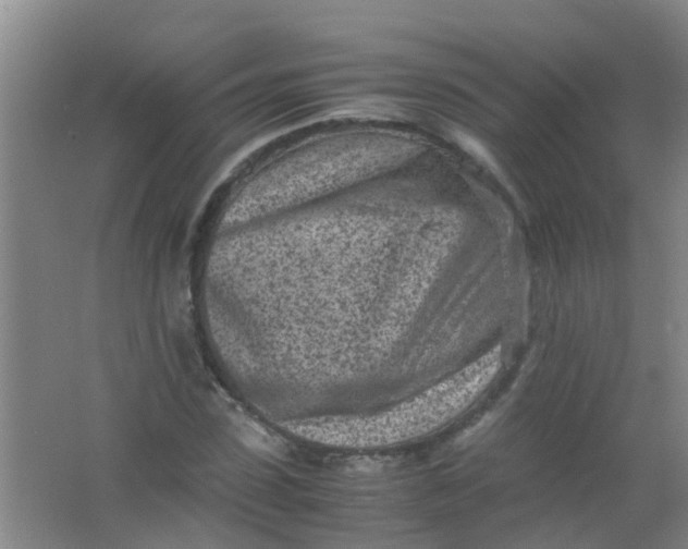 X0000062130923200512231434