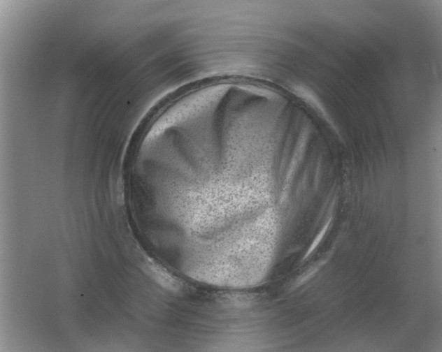 X0000062130924200512231434