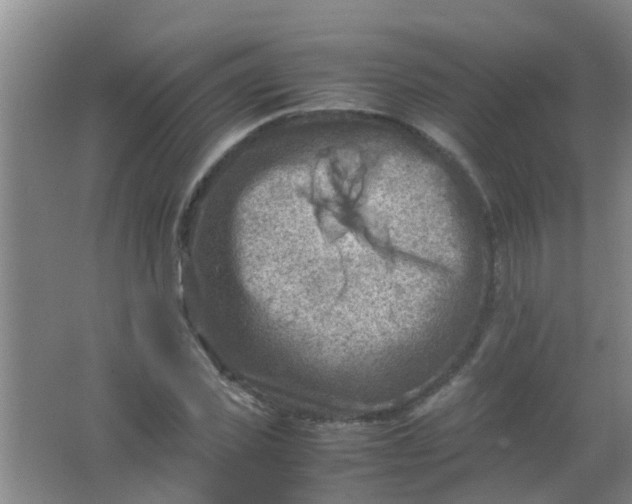 X0000062130925200512231434