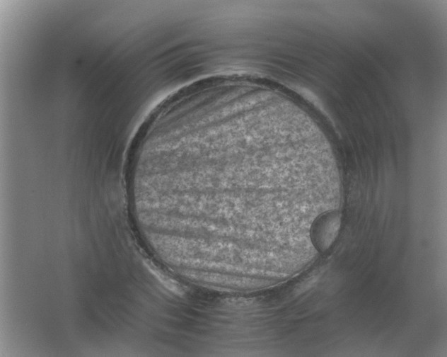 X0000062130927200512231434