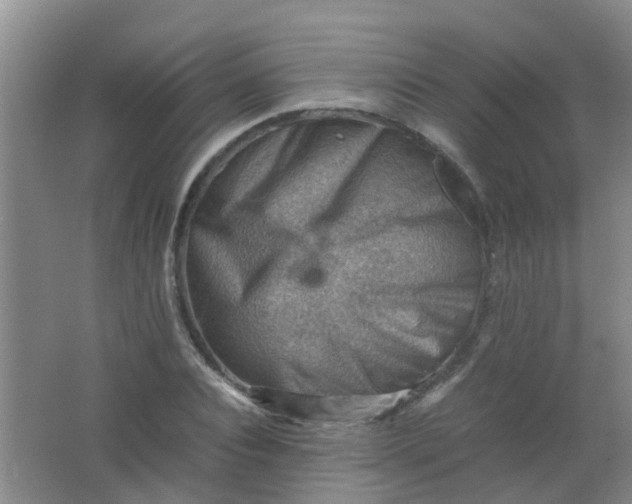 X0000062130928200512231434