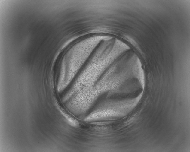 X0000062130931200512231434