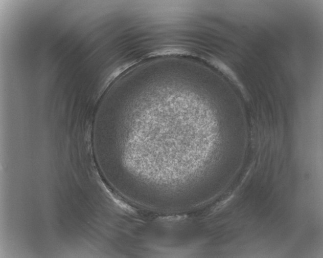 X0000062130937200512231434