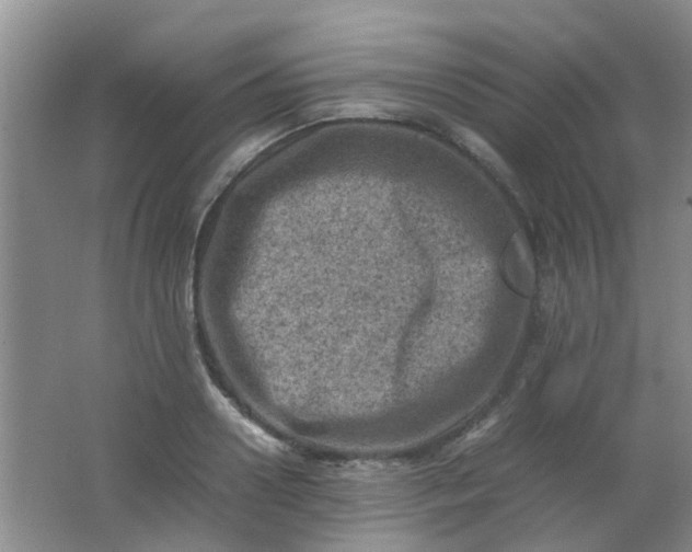 X0000062130938200512231434