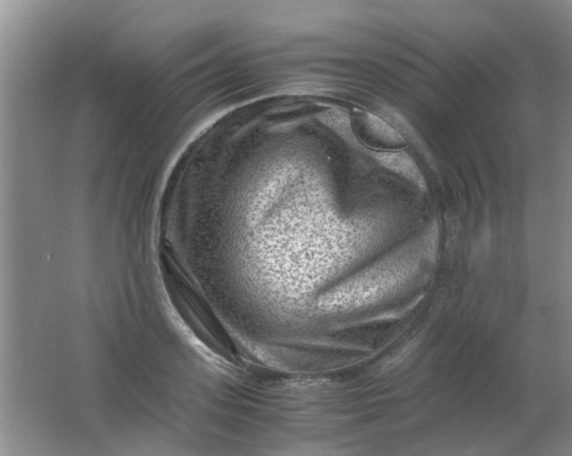 X0000062130939200512231434