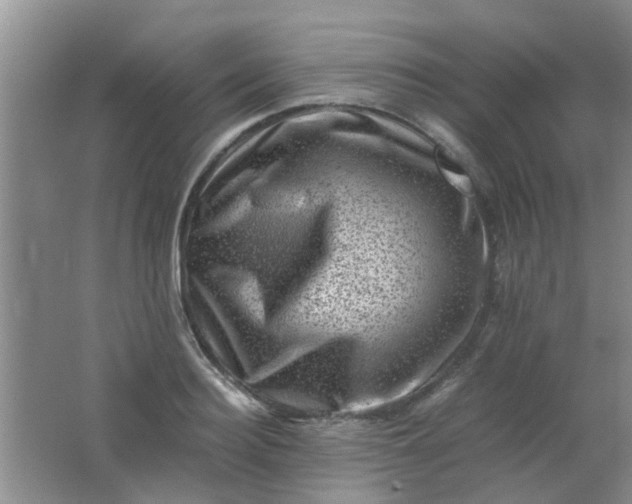 X0000062130940200512231434