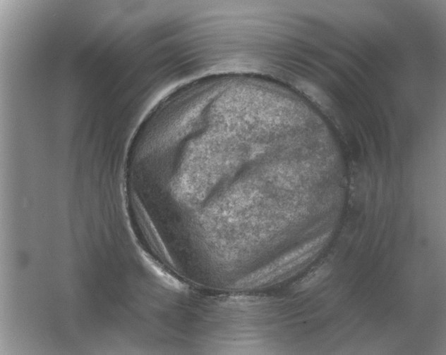 X0000062130942200512231434