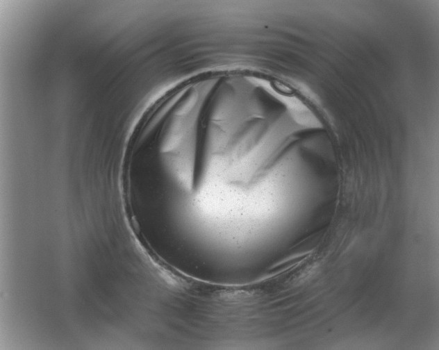 X0000062130943200512231434