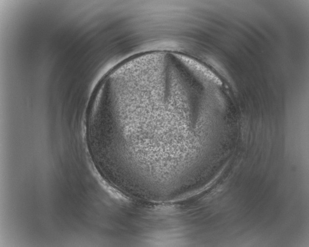 X0000062130944200512231434