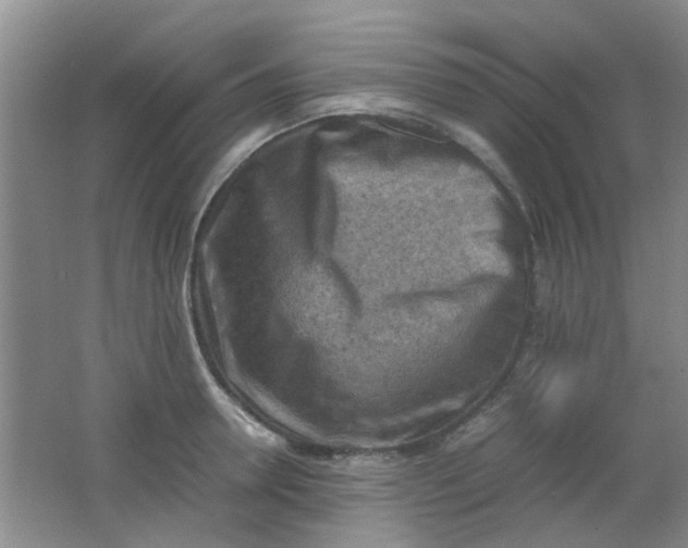 X0000062130946200512231434