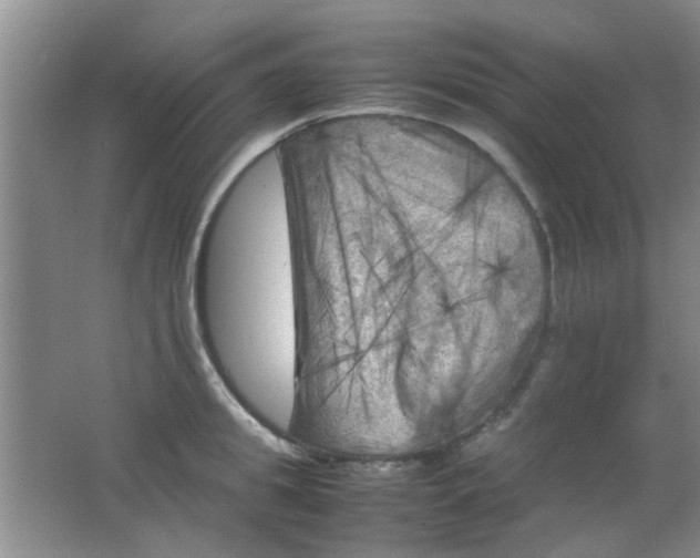 X0000062130949200512231434