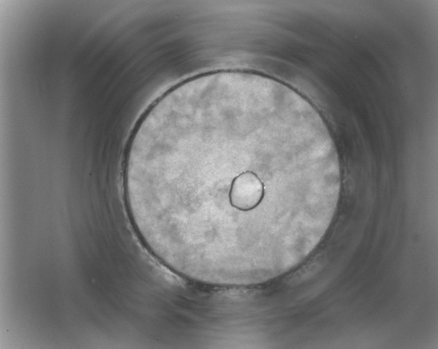 X0000062130950200512231434