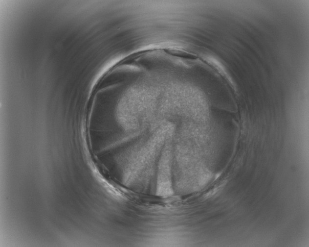 X0000062130952200512231434