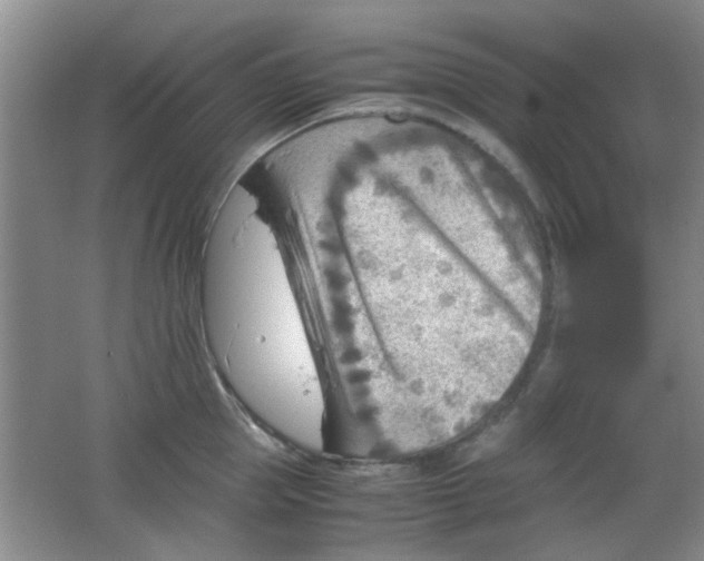 X0000062130953200512231434