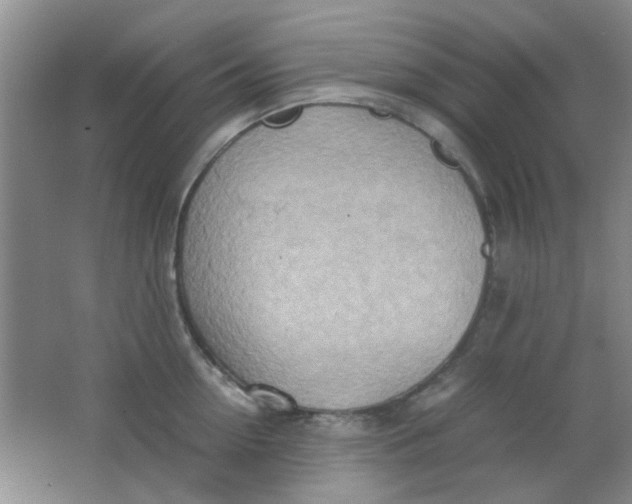 X0000062130954200512231434