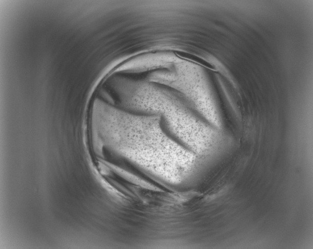 X0000062130955200512231434