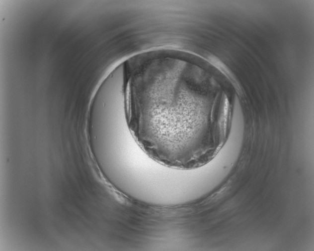 X0000062130956200512231434