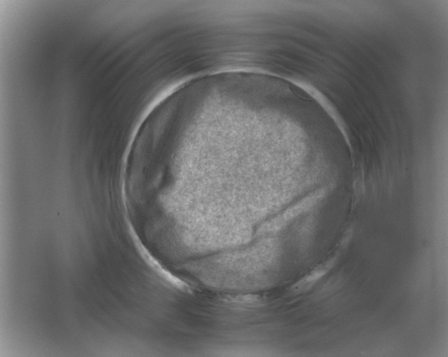 X0000062130957200512231434