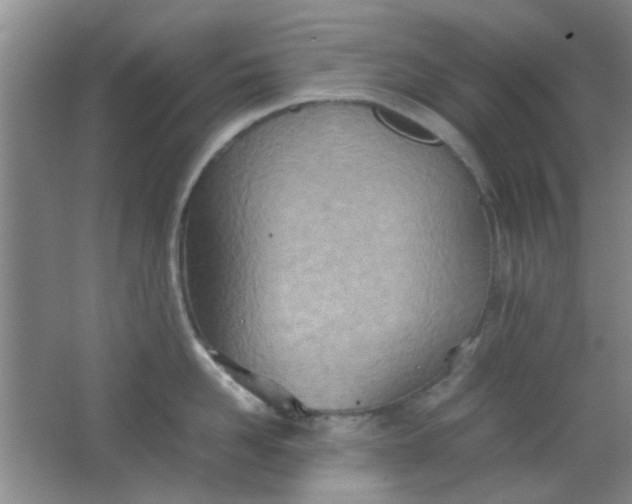 X0000062130958200512231434