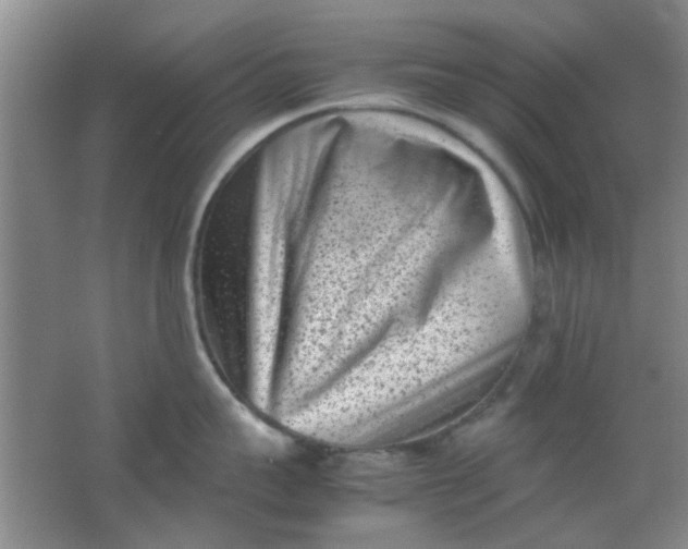 X0000062130959200512231434