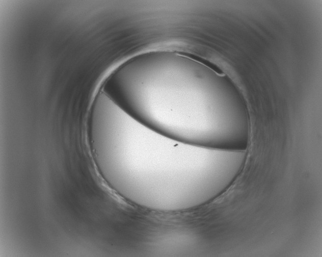 X0000062130960200512231434