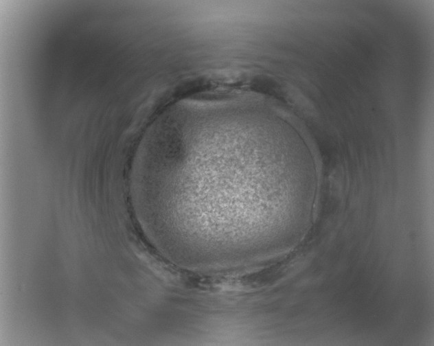 X0000062130961200512231433