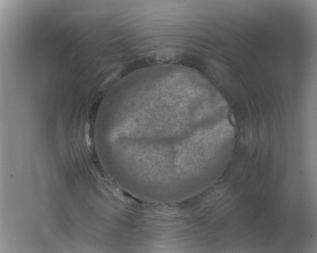 X0000062130962200512231433