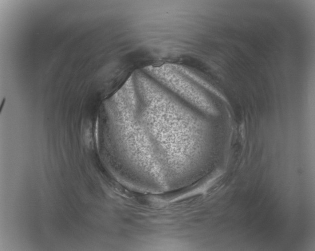 X0000062130963200512231433