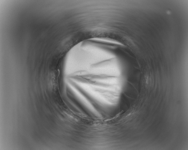 X0000062130964200512231433