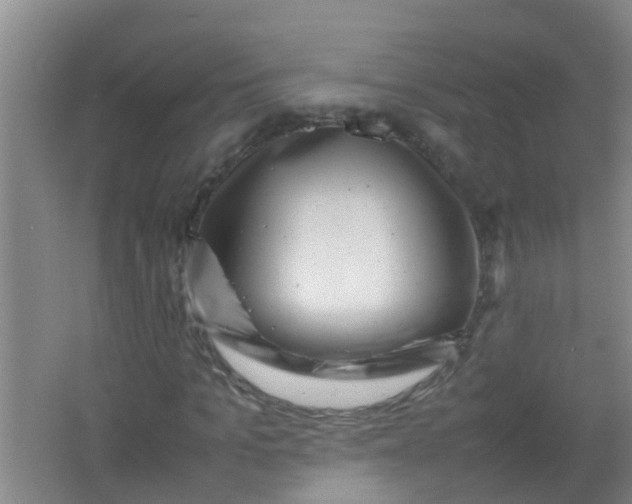 X0000062130965200512231433