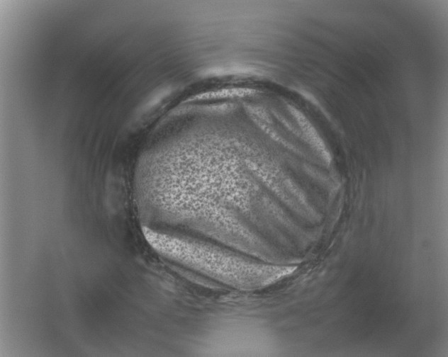 X0000062130967200512231433