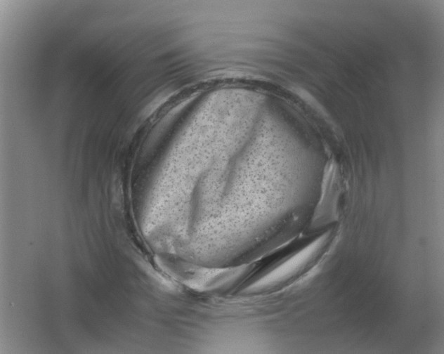 X0000062130969200512231433