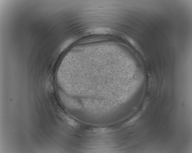 X0000062130970200512231433