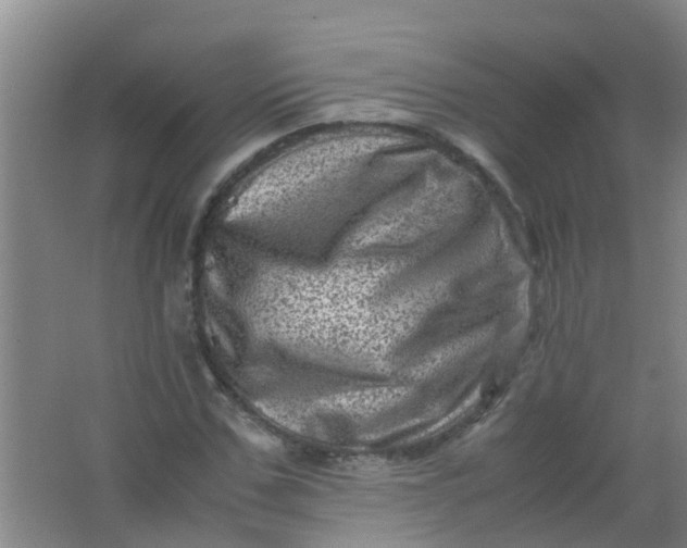 X0000062130971200512231433