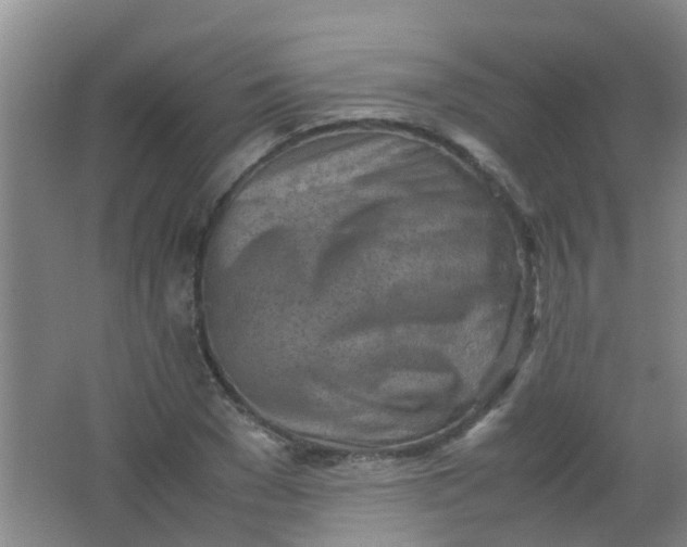 X0000062130977200512231433