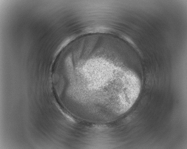 X0000062130978200512231433