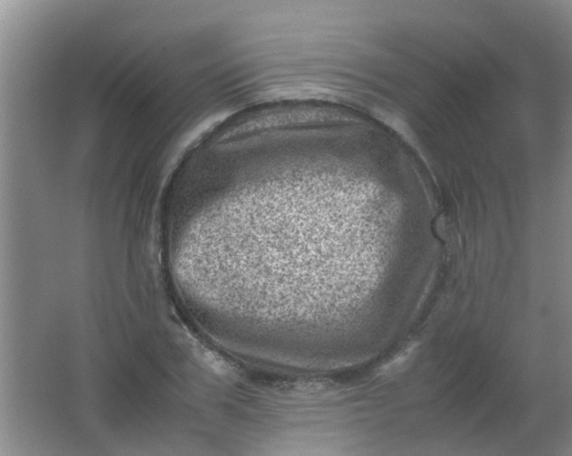 X0000062130979200512231433