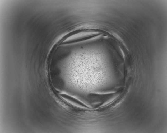 X0000062130981200512231433